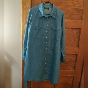 Fashion To Figure Shirt Dress